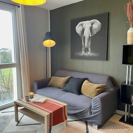 Le Colorado - Appartement Proche Airbus Коломье Экстерьер фото
